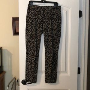 CABI Jungle Trouser